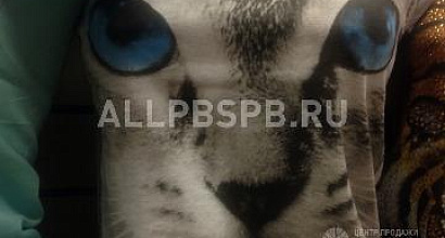 Продажа:  продам магазин молодежной одежды