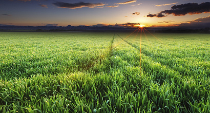 Продается земельный участок под автостоянку