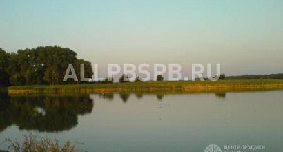 Готовый бизнес  мини птицеферма лпх