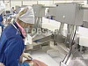 Продается  перерабатывающий завод на алтае 