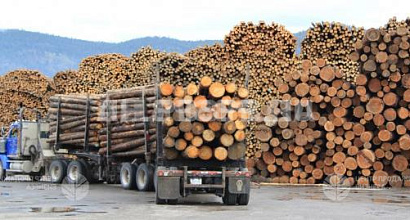 Лесопильное производство ниже стоимости оборудования