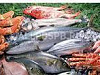 Продается  рыбный магазин г. зеленоград