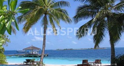 Продажа:  турагентство с наработанной базой клиентов