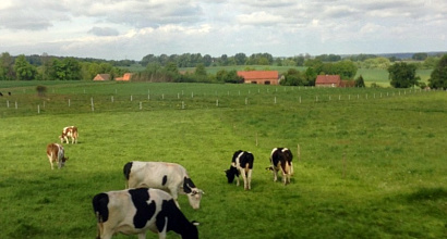 Продается колхоз в Вологодской области