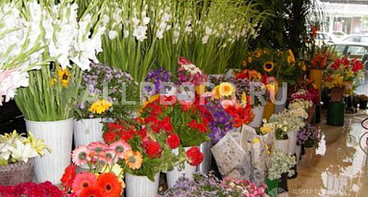 Продажа:  Продажа цветочного магазина