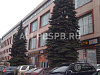 Аренда:  Офисное помещение, 139 м 