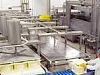Продажа: маслозавод