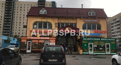 Помещение свободного назначения на Комендантском проспекте