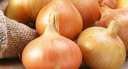 Производство по выращиванию зеленого лука