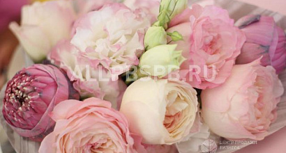 Продажа:  салон цветы на покровке