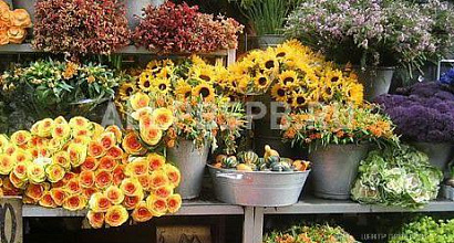 Готовый бизнес  цветочный магазин 