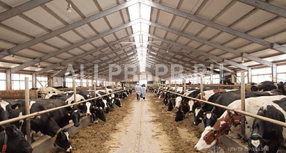 Готовый бизнес  с/х предприятие