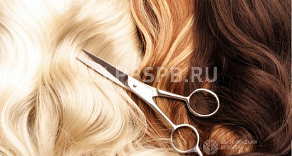 Аренда:  Салон красоты с низкой арендой и высокой прибылью