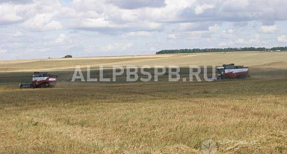 Продажа:  Сельскохозяйственное предприятие (готовый бизнес)