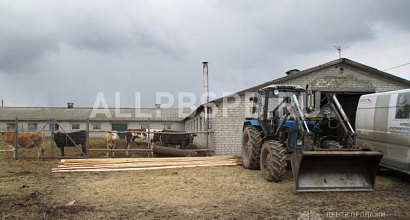Продажа:  фермерское хозяйство 