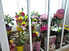 Продажа:  Готовый цветочный бизнес