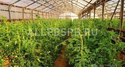 Продажа:  Продажа фермерского хозяйства в Краснодарском крае