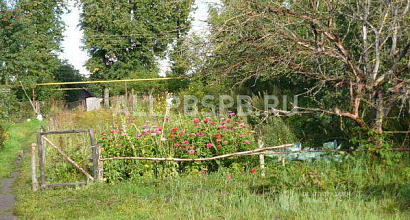 Продажа:  фермерское хозяйство для молодых пенсионеров