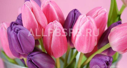 Продажа:  салон цветов около метро