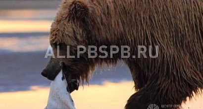 Продается  охотхозяйство. ищем инвестора