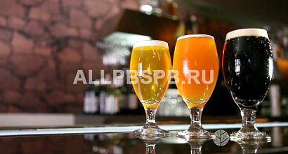 Магазин-бар живого пива в спальном районе