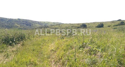 Продажа:  1000 га на алтае меняю на авто, землю, недвижимост