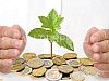 Продажа:  магазин автозапчастей