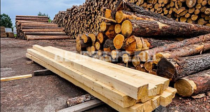 Пилорама на юго-западе города