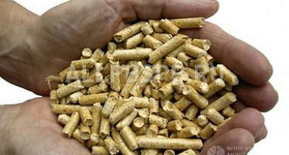 Продажа:  прибыльное производство по изготовлению пеллет 