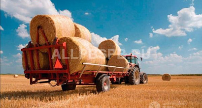 Сельхозпредприятие с оборудованием