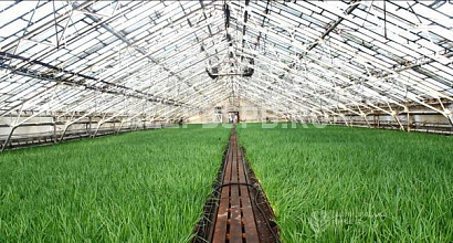 Аренда:  Производственное помещение, 3000 м