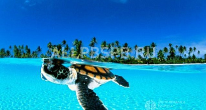 Продажа:  Продажа туристического агентства, м. Перово 