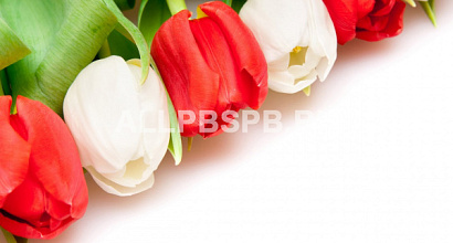 Цветочный магазин на оживленной улице у метро Строгино