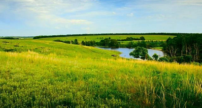 Земельный участок в Московской области