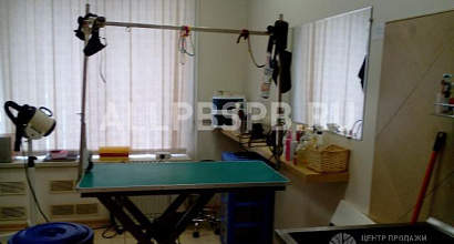 Готовый бизнес  груминг салон, м. петровско-разумовская 