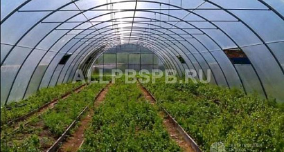 Теплица в собственность