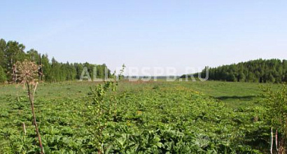 Продажа:  сельхоз предприятие в тверской области