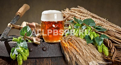 Магазин разливного пива в элитном ЖК