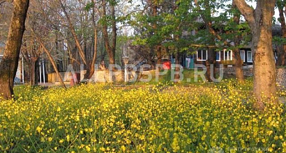 Продается  действующая база отдыха черное море 