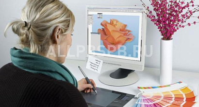 Готовый бизнес  веб студия