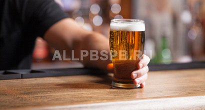 Прибыльный магазин разливного пива