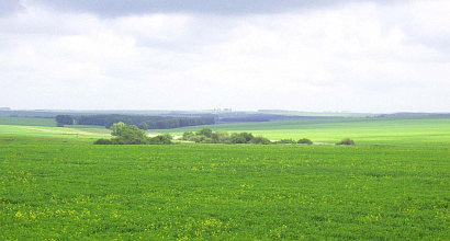 Земельный участок