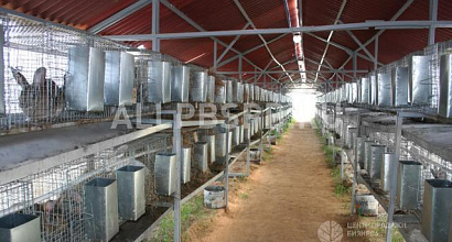 Готовый бизнес  кроличья ферма рядом с трассой м10