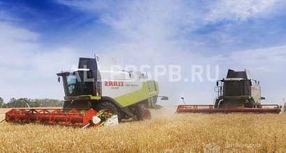 Действующий колхоз в вологодской области