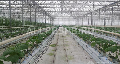 Продажа:  строительство тепличного комплекса в крыму