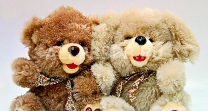 Продается  20 доли ук оптового поставщика детских игрушек