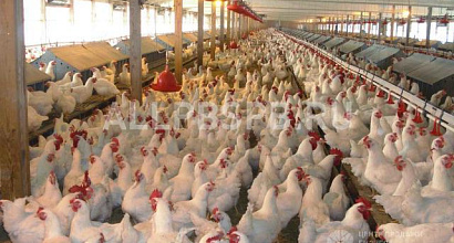 Продажа:  предложение для инвесторов