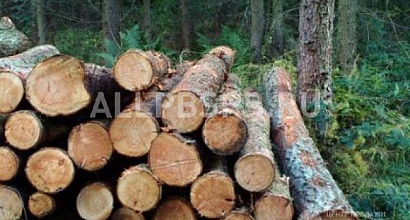 Продается  120 процентов годовых. освоение лесных делянок
