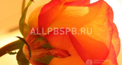 Продается  действующий интернет-магазин фермерских продуктов 