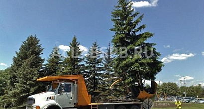 Продажа:  Готовый бизнес &quot;Долина Мечты&quot;